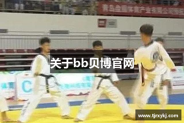 关于bb贝博官网